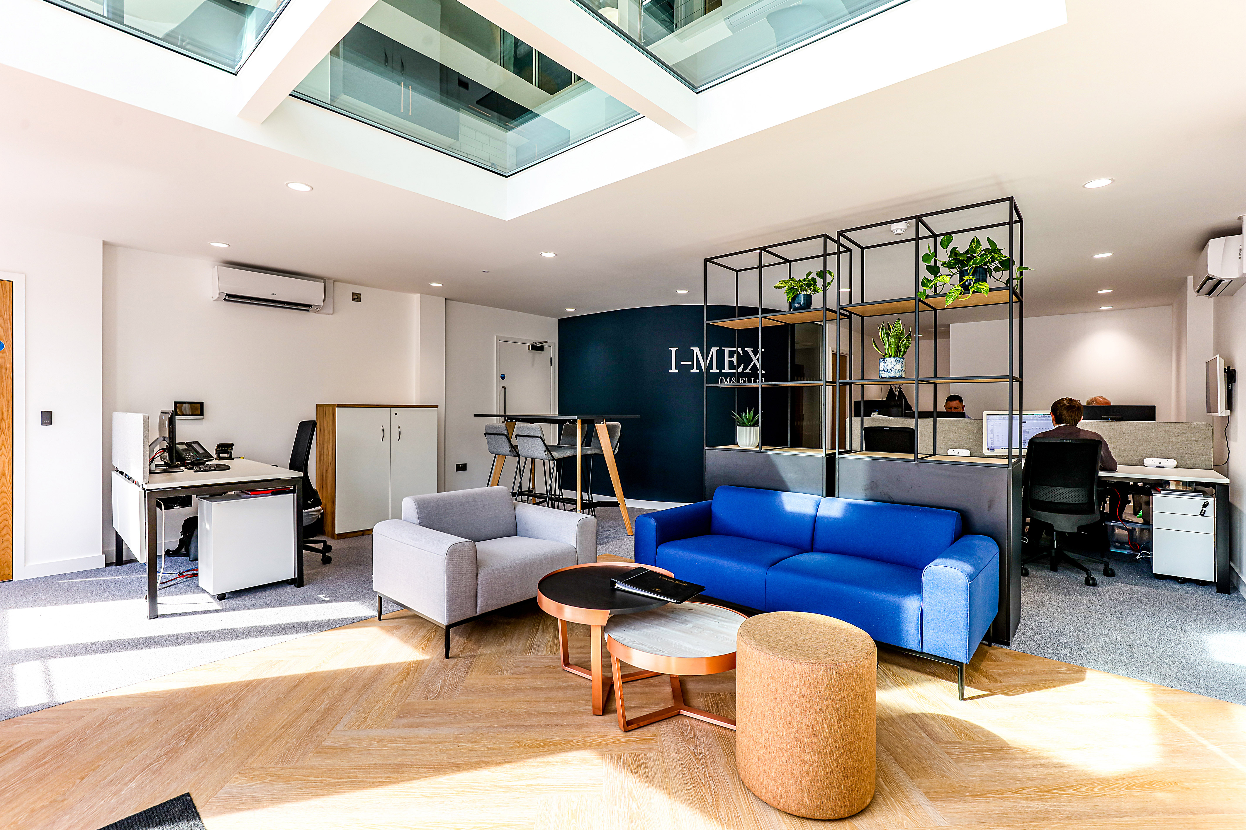 Office space features modern furniture with a blue couch, grey chair, tables, and plant shelves; two people work at computers. Wall displays "I-MEX" logo. Natural light brightens the room.