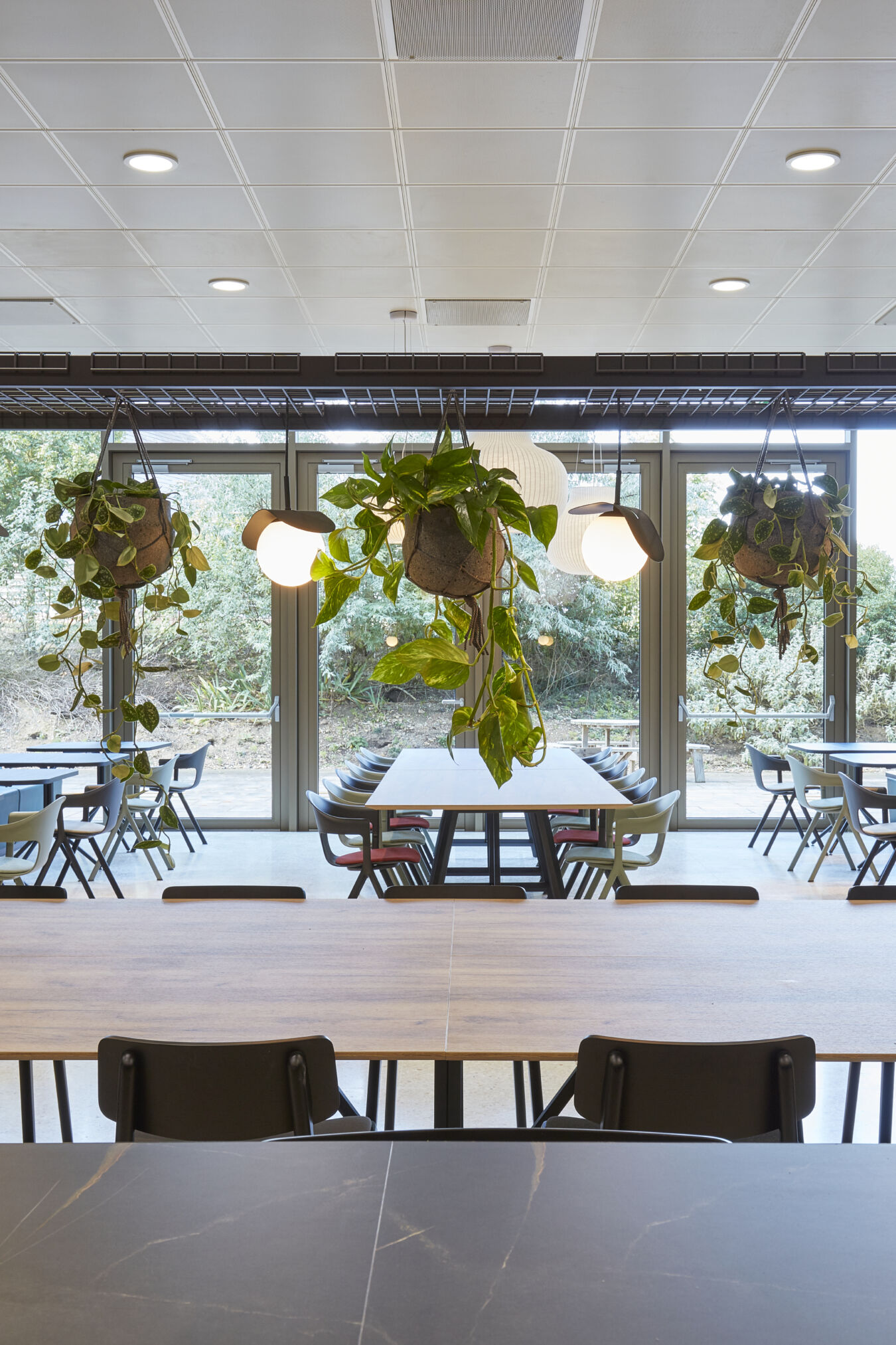 Modern dining area with blue benches, wooden tables, and hanging plants. Large windows in the background offer natural light, creating a fresh ambiance