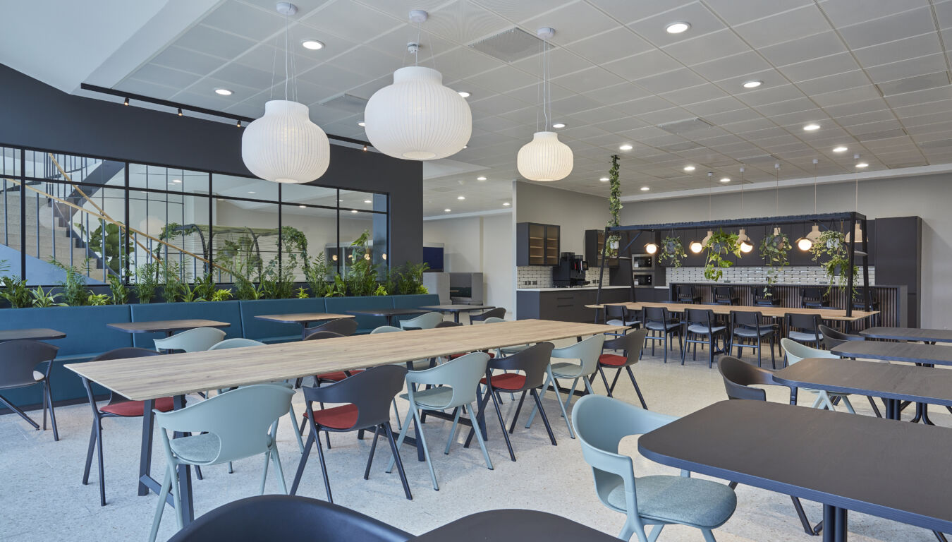 Modern dining area with long wooden tables and colorful chairs. Pendant lights hang from the ceiling. Bright and airy space with plants for decoration