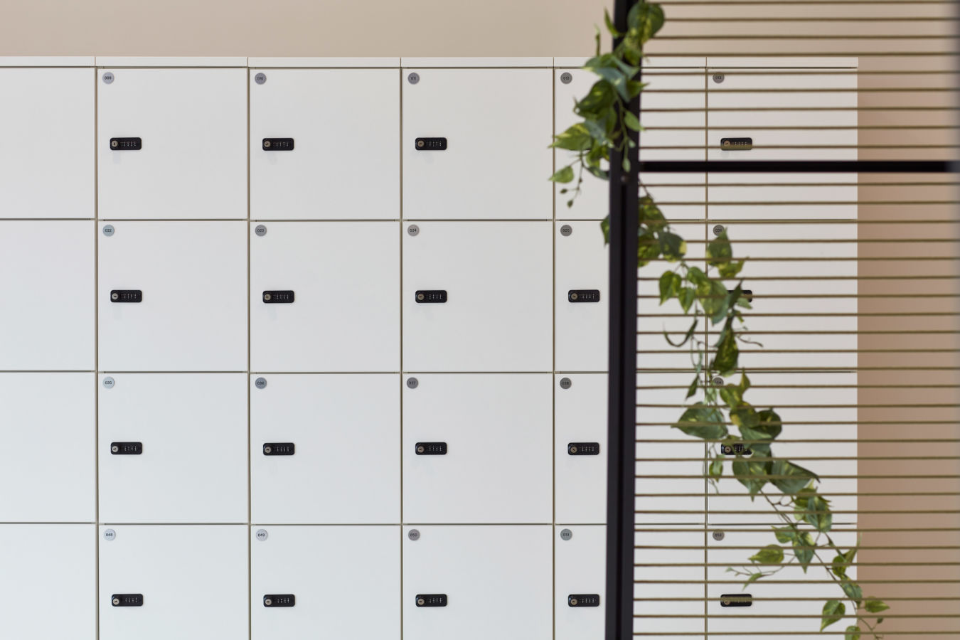 White office lockers with digital locks and a leafy green vine