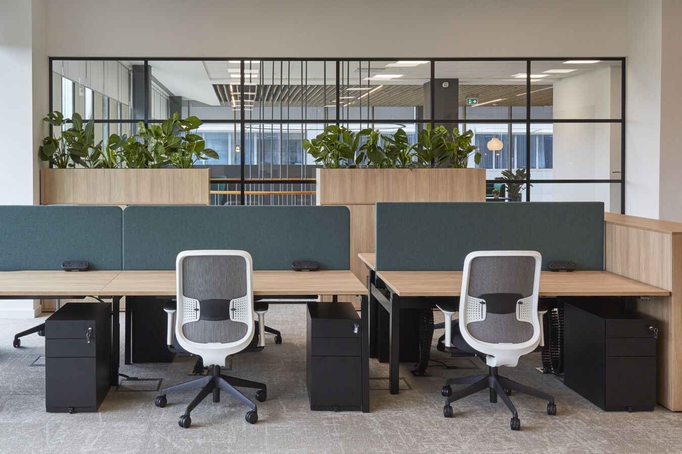 Modern office with two workstations featuring wooden desks, green privacy panels, and white chairs. Large plants and glass partitions create a fresh, open atmosphere
