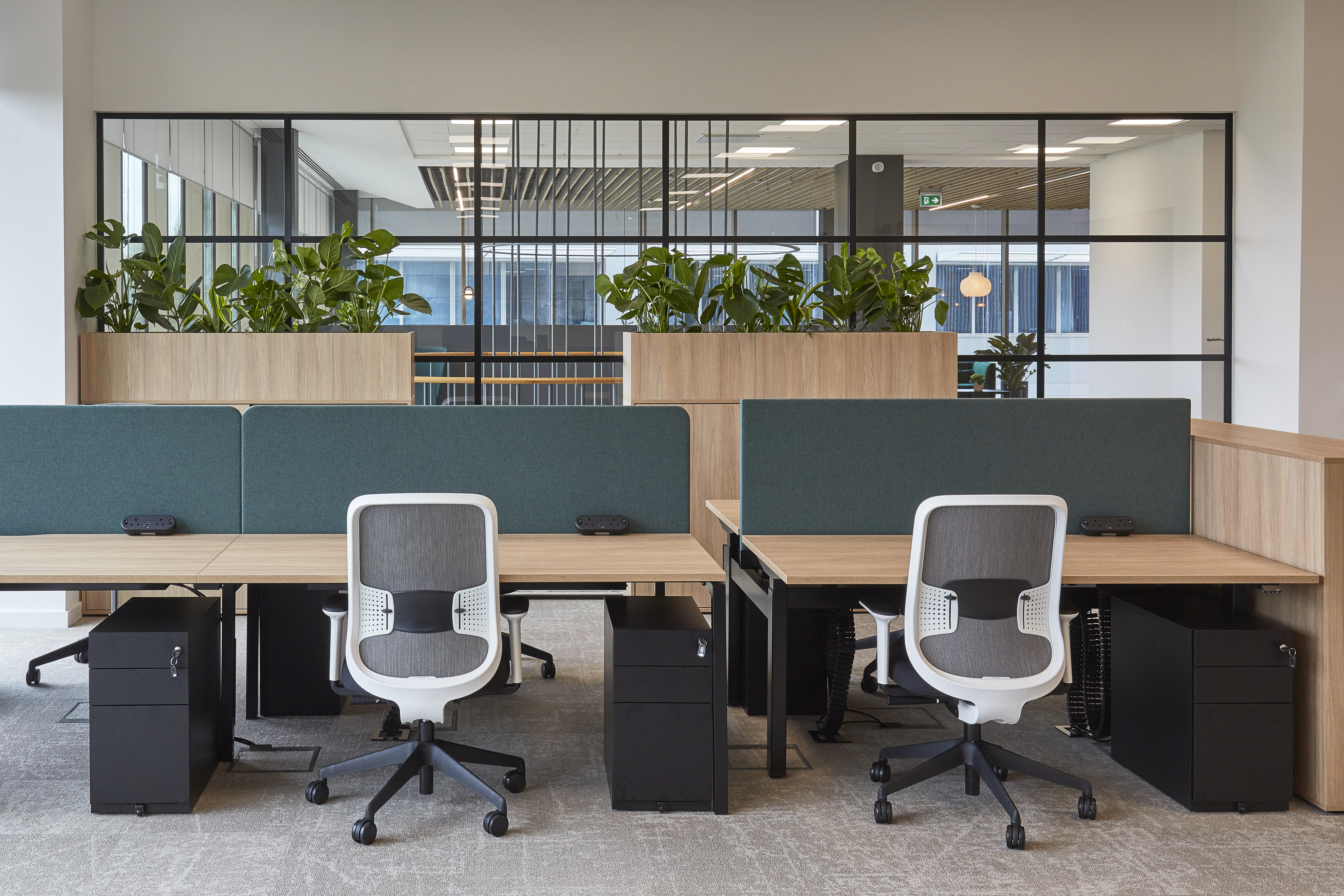 Modern office with two workstations featuring wooden desks, green privacy panels, and white chairs. Large plants and glass partitions create a fresh, open atmosphere