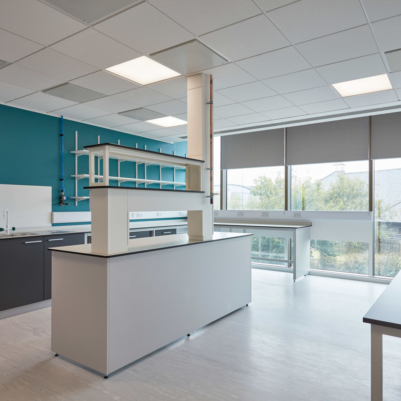 Bright, modern laboratory with central workbench, teal accent wall, and large windows, part of a COEL Lab Planning project.