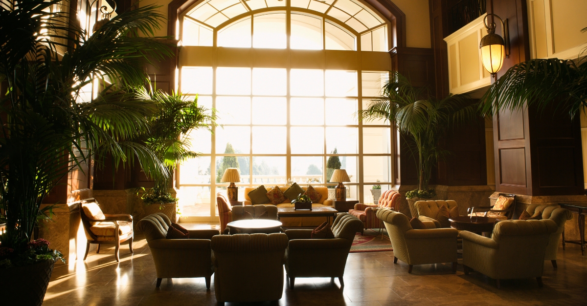 Modern office lounge with gray sectional sofa, blue lockers, and indoor plants. Open space design with bright lighting and relaxed atmosphere.