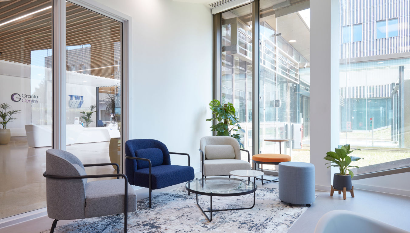 Modern office lounge with blue and gray chairs, a round glass table, and potted plants. Large windows provide natural light and an outdoor view