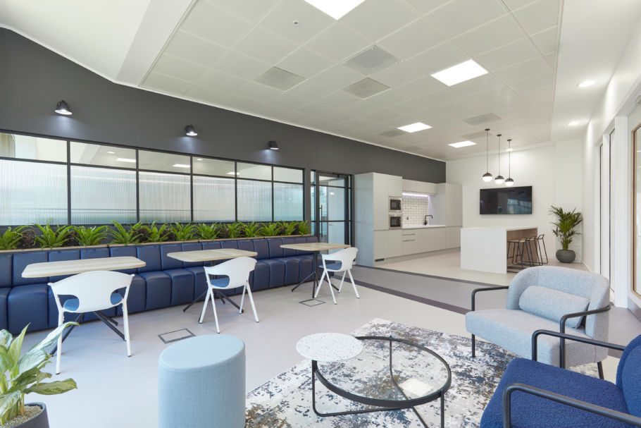 Modern open-plan office lounge with blue seating, white tables, and greenery under a row of windows. Kitchen area with bar stools and a TV convey a welcoming, relaxed atmosphere