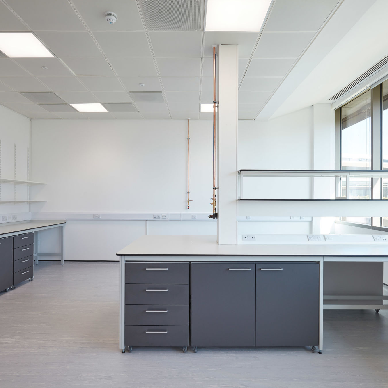 bright, modern laboratory with white walls, grey cabinets, and laboratory tables