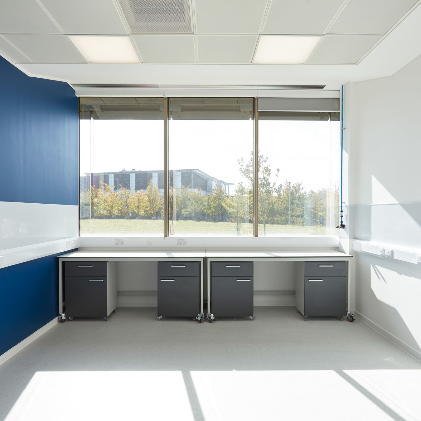 Bright laboratory space with blue and white walls, large window showing trees and a building, cabinets beneath counters, and visible blue pipes