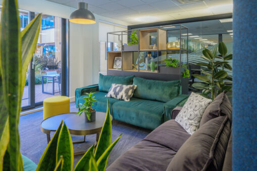 Cozy office lounge with green and grey sofas, patterned cushions, indoor plants, and open shelving separating the space.