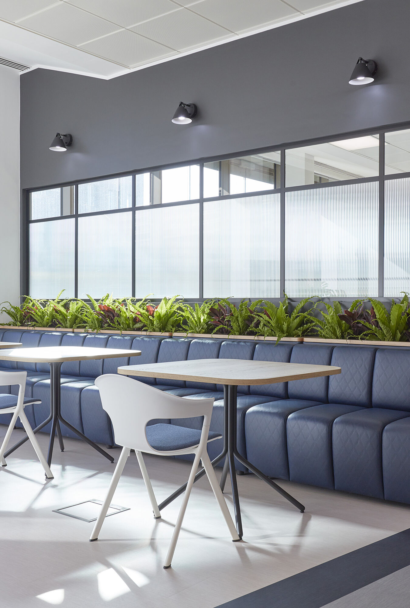 Blue cushioned seating with wooden tables and white chairs line a modern office cafeteria, featuring potted green plants and large windows.