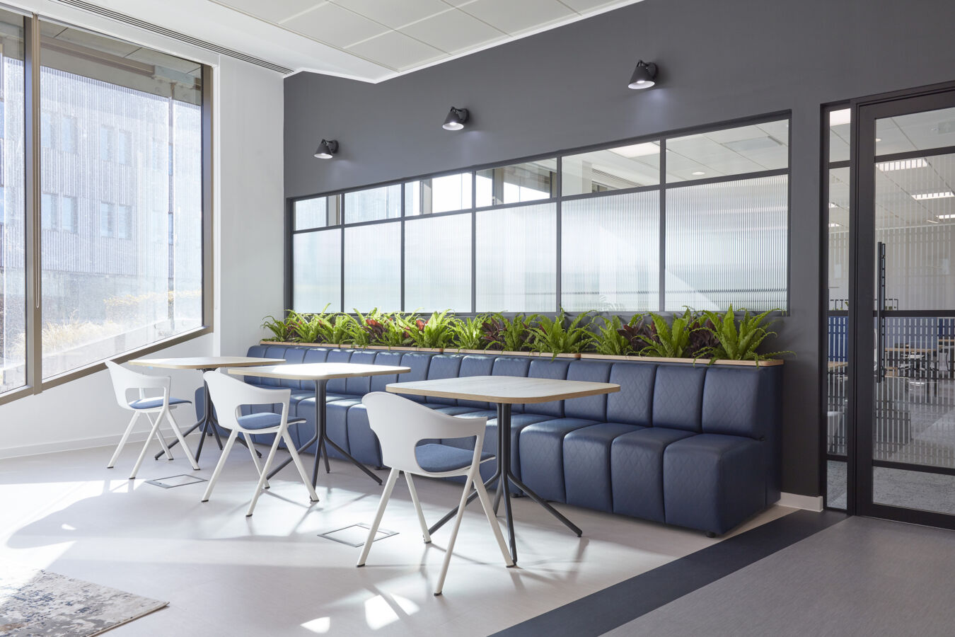 Blue cushioned seating with wooden tables and white chairs line a modern office cafeteria, featuring potted green plants and large windows.