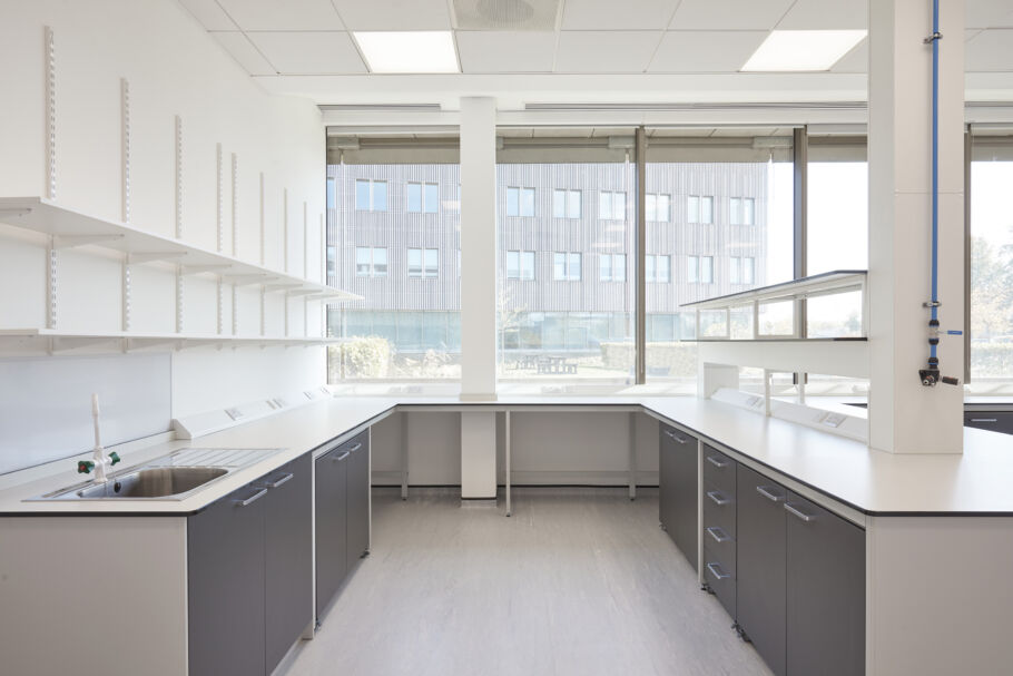 Bright laboratory room with large windows, white countertops, dark lower cabinets, and upper shelving, providing a clean and organized workspace.